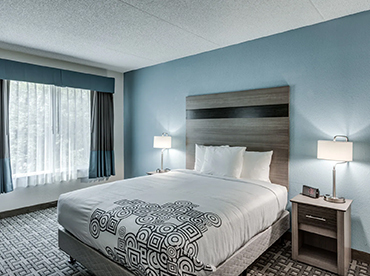 1 Queen Bed